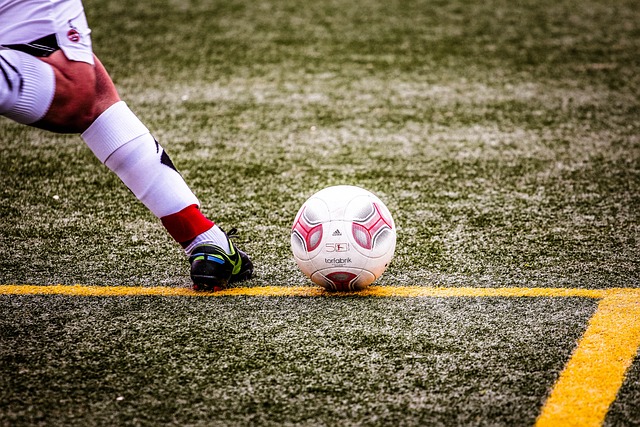 盟无疑将为 盟无疑将为