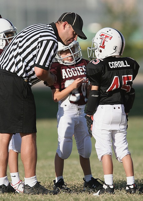 经验丰富的 经验丰富的