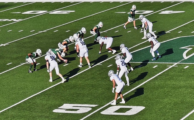 才能在竞技 才能在竞技