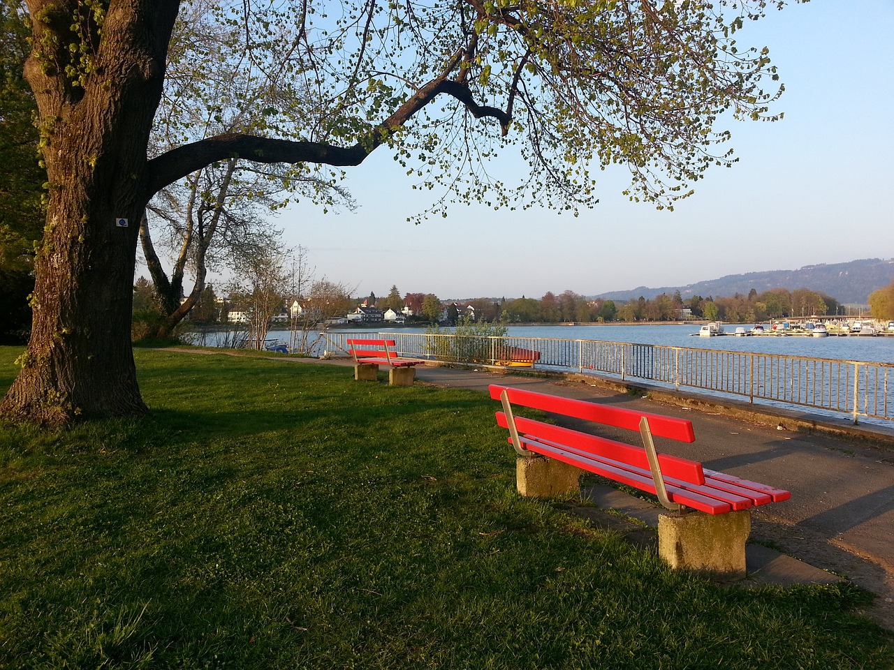 高的天賦 高的天賦