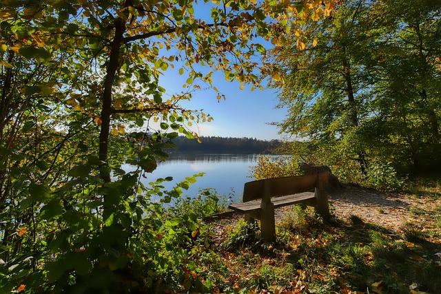 使得储量评 使得储量评